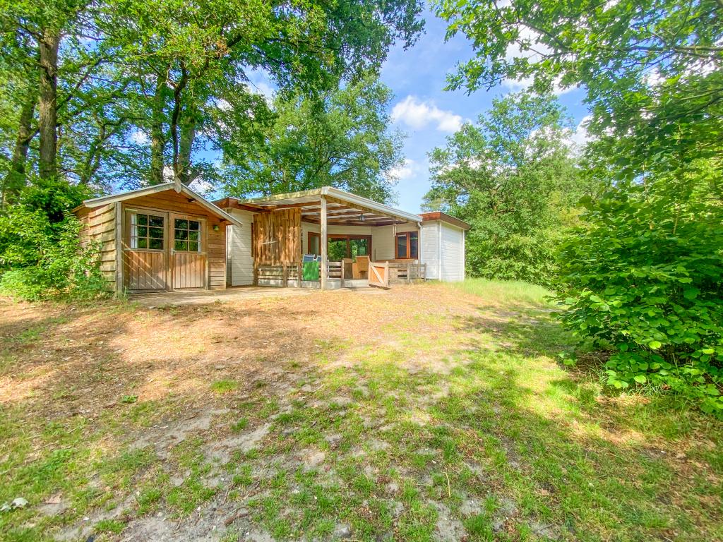 Witte Bungalow image 2
