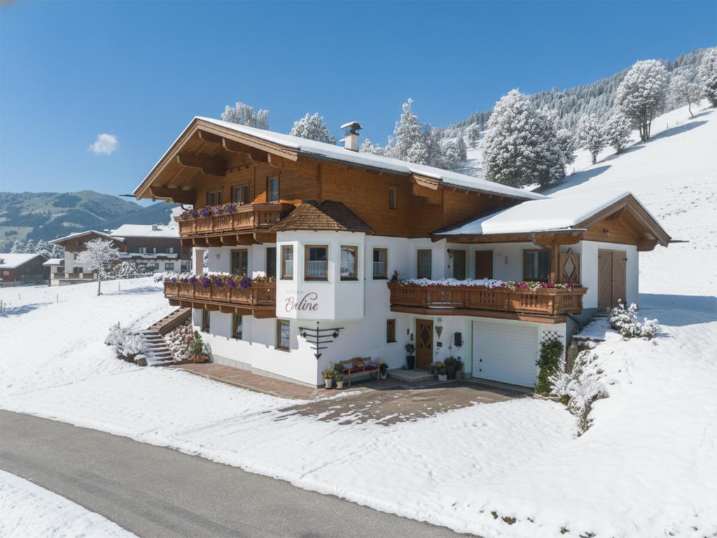 Eder II Saalbach image 2