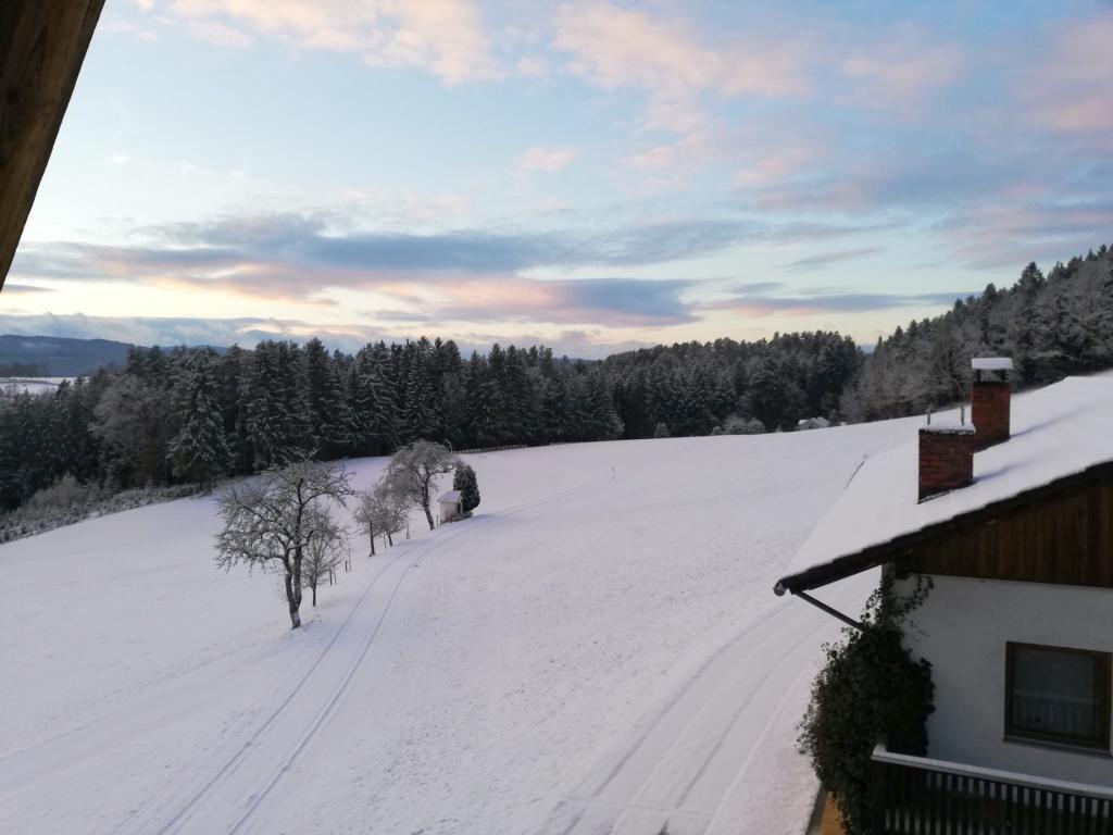 Berghof image 2