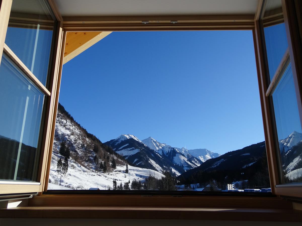 View Winter
