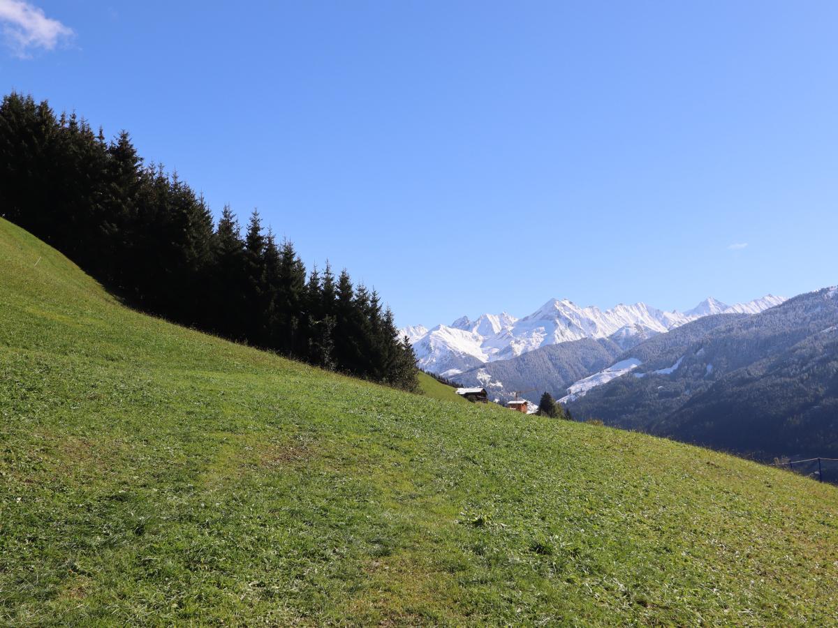 View Summer