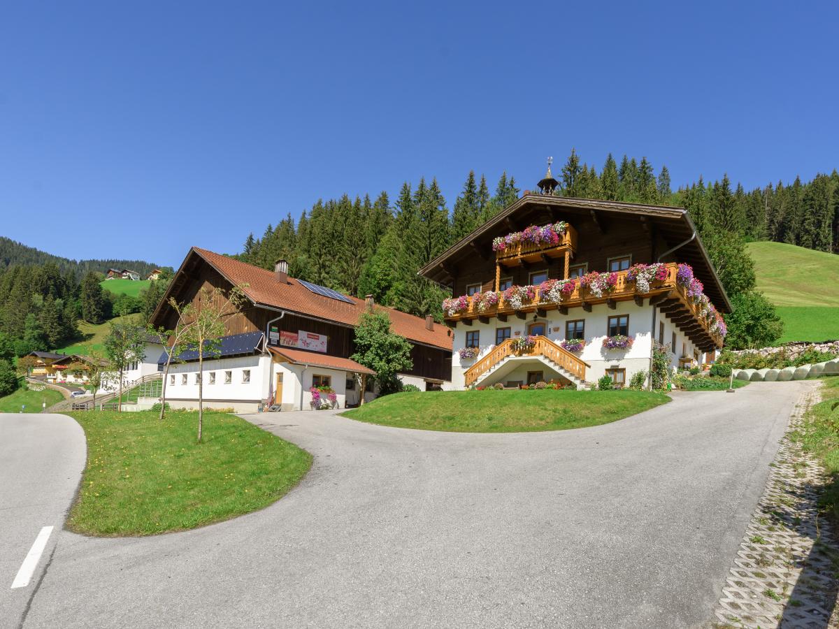 Villa photo 1