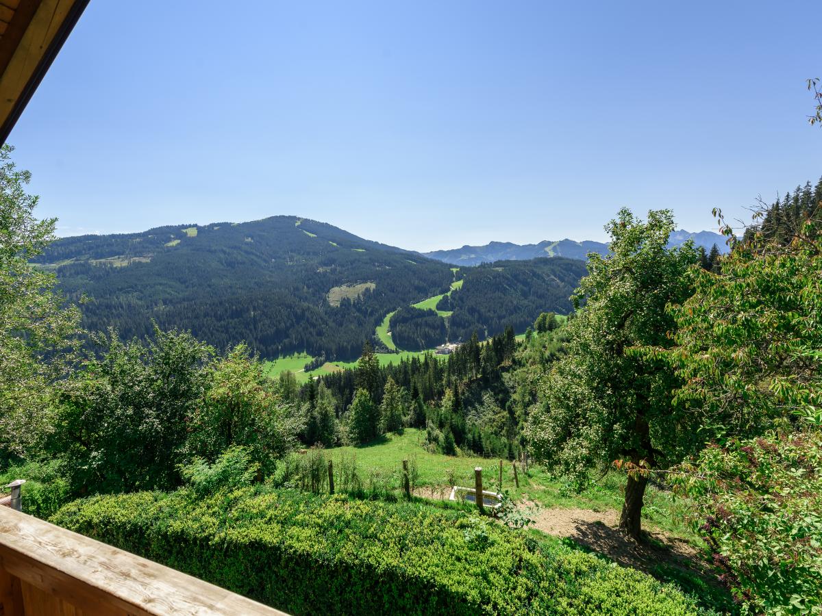 View Summer