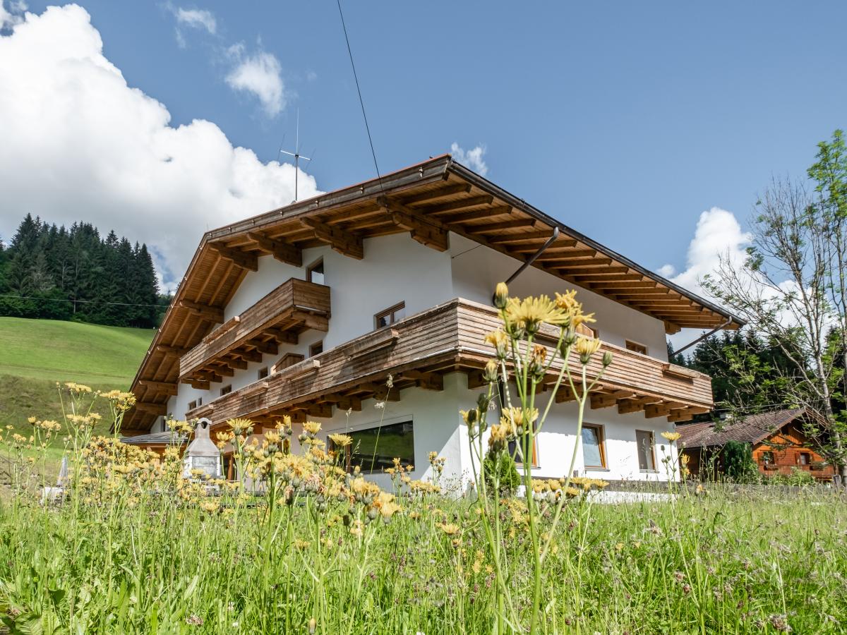 Villa photo 1