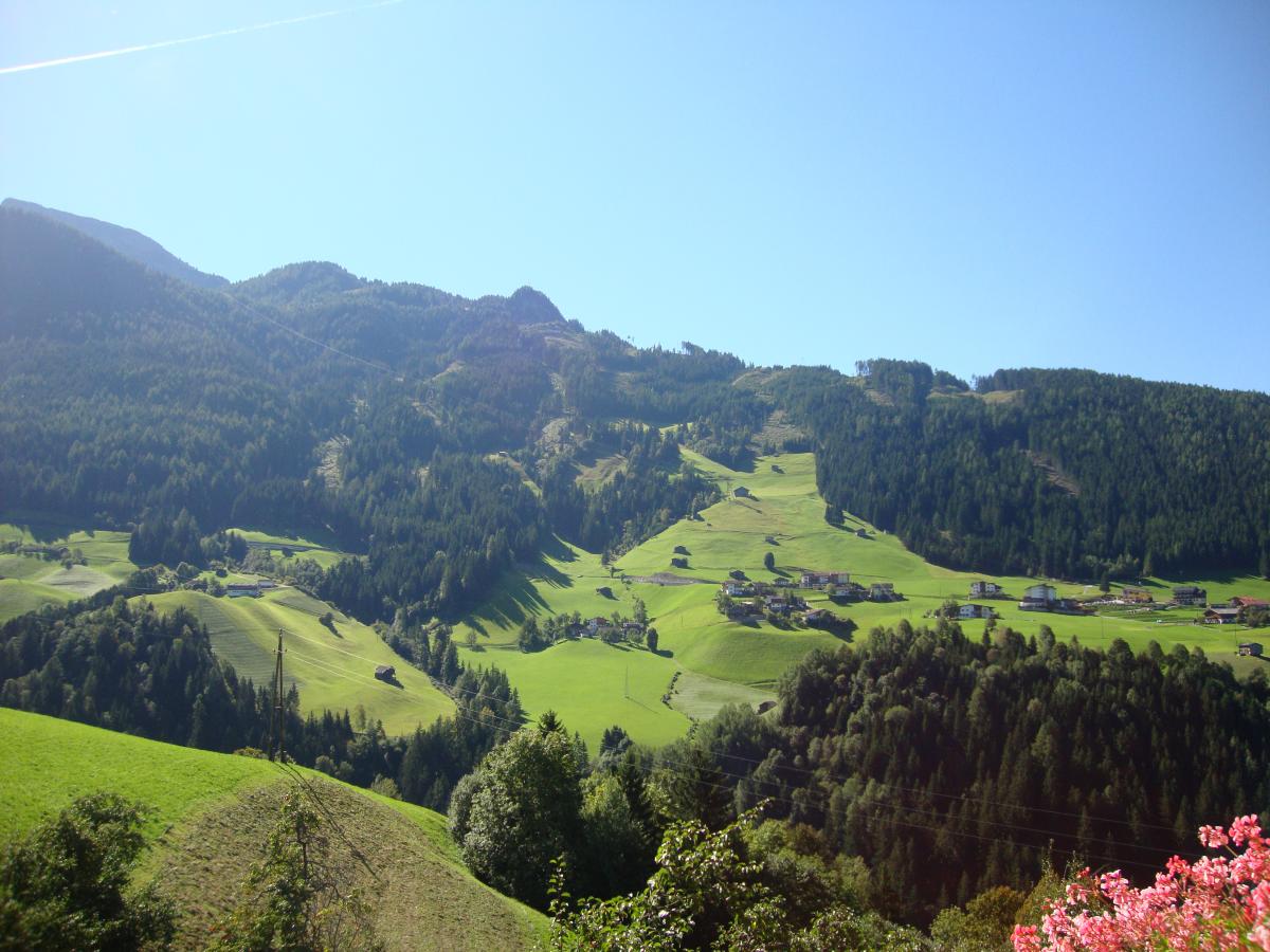 View Summer