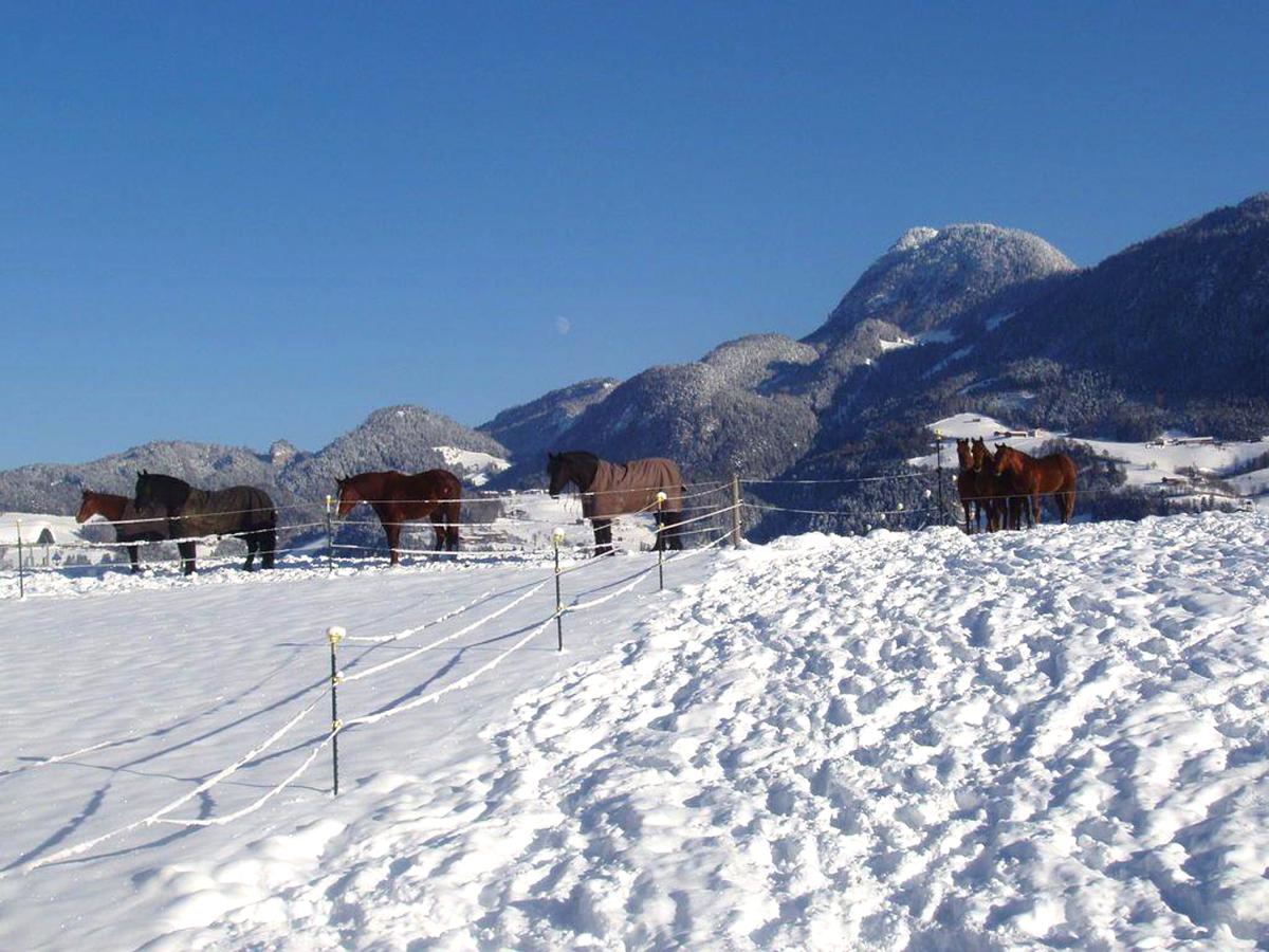 View Winter