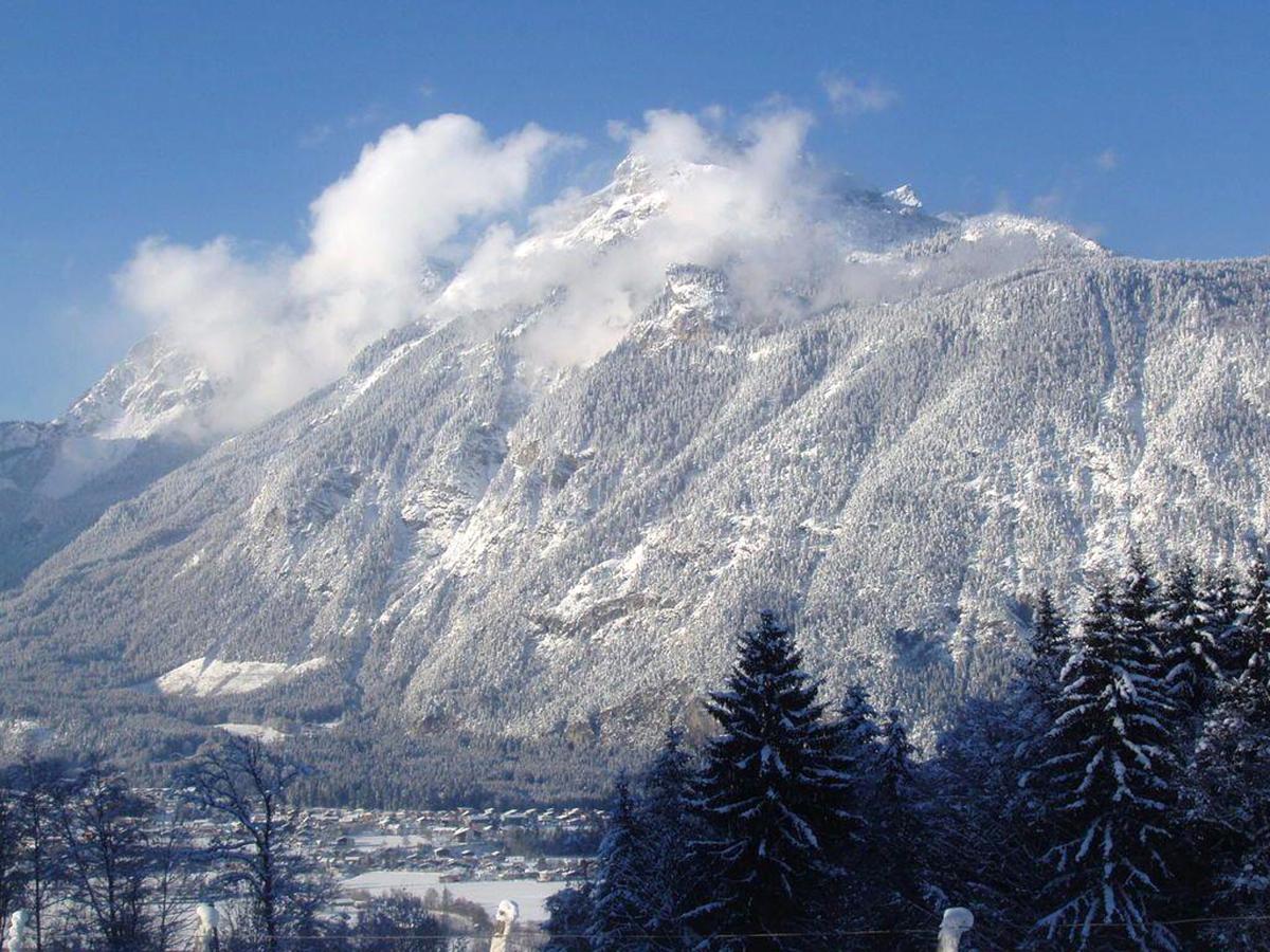 View Winter