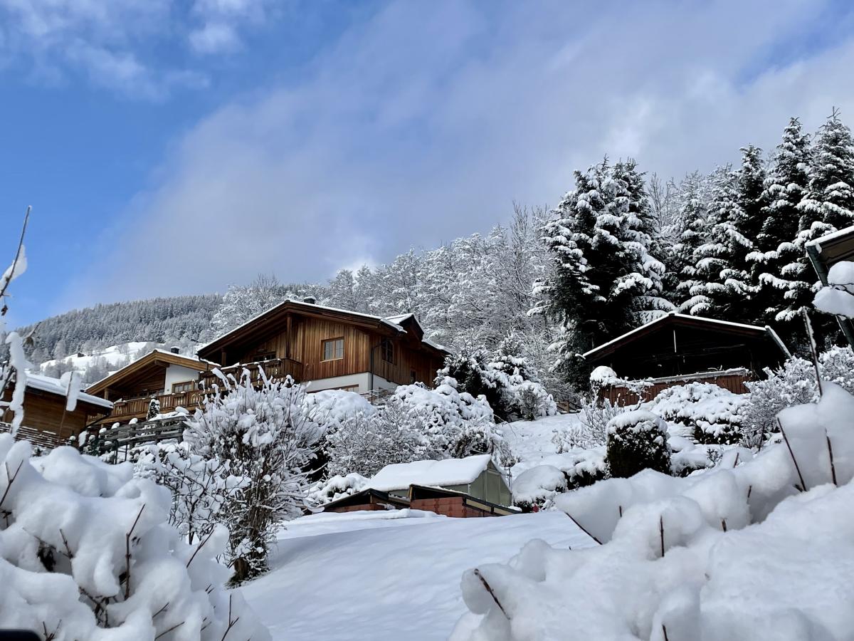 Villa photo 1