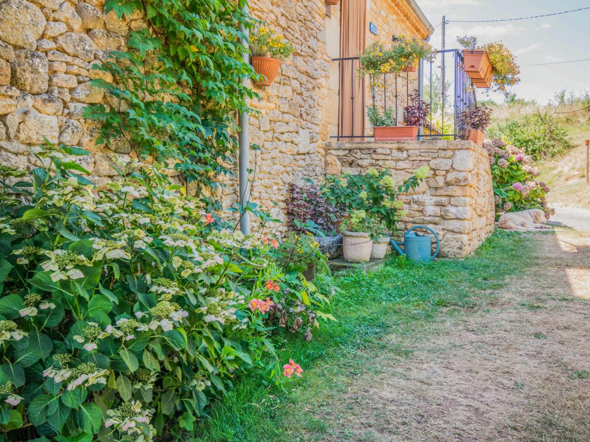 Garden Summer