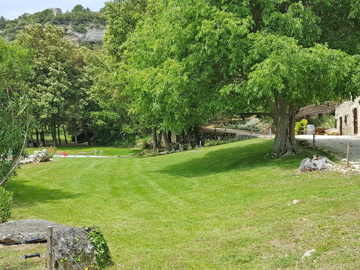 Garden Summer