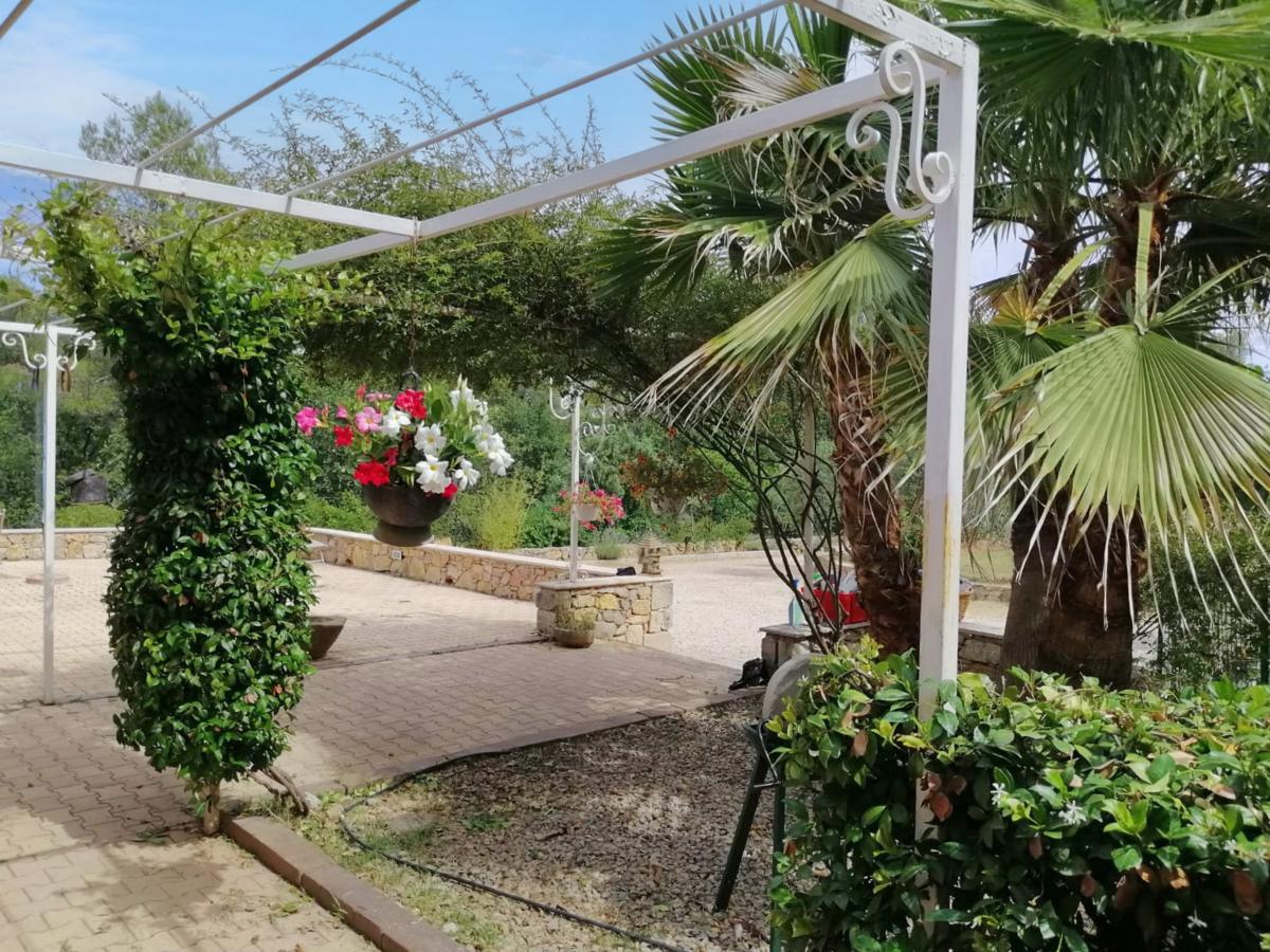 Garden Summer