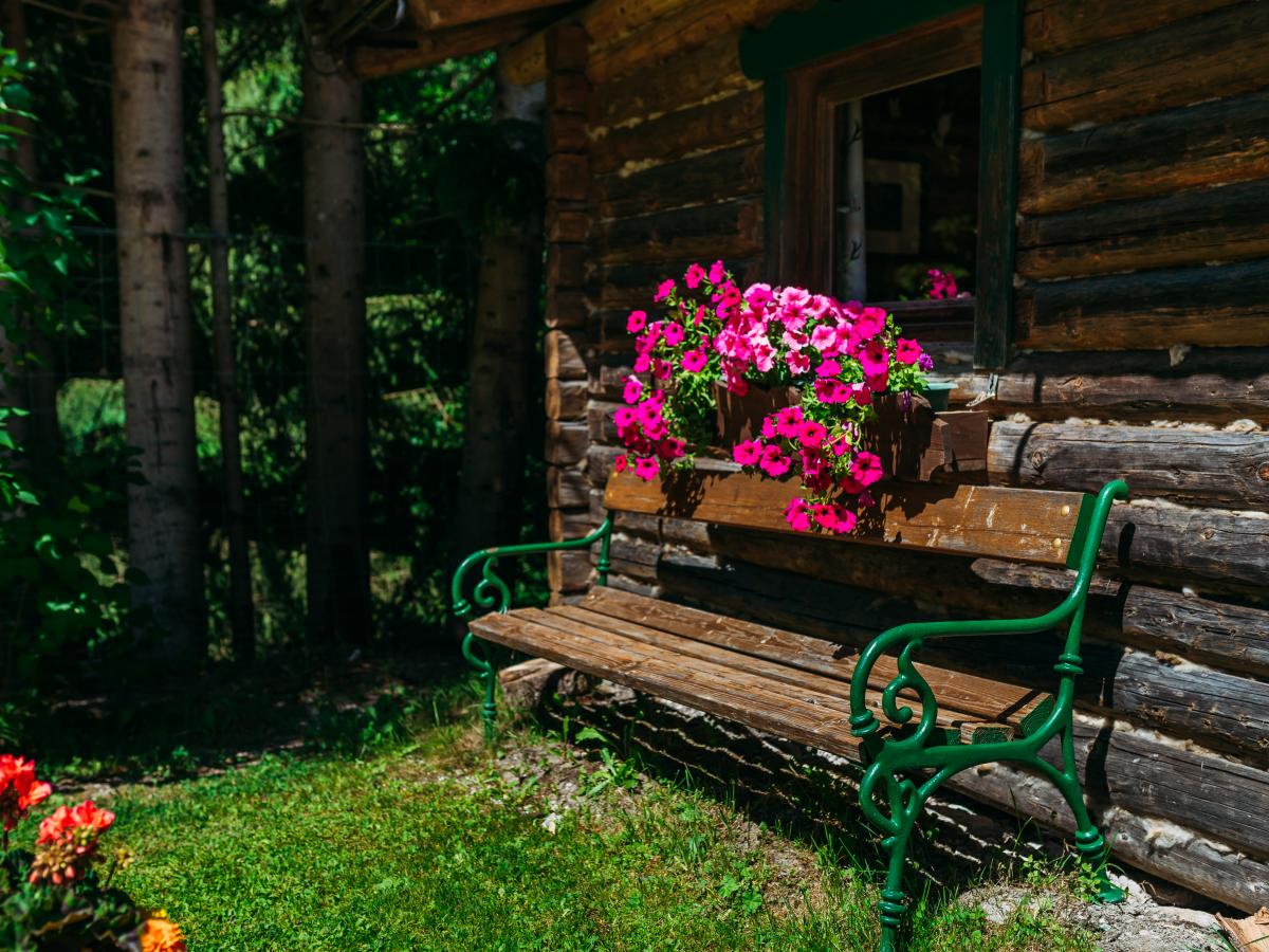 Garden Summer