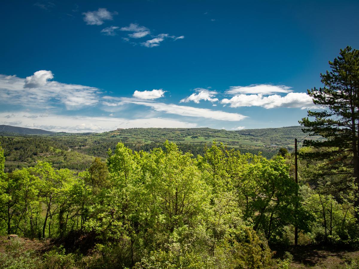 View Summer