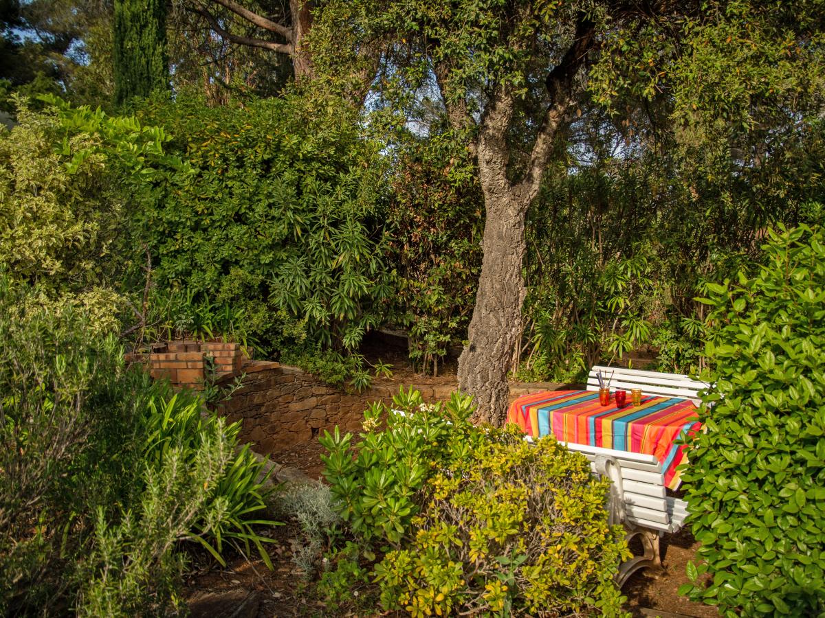 Garden Summer