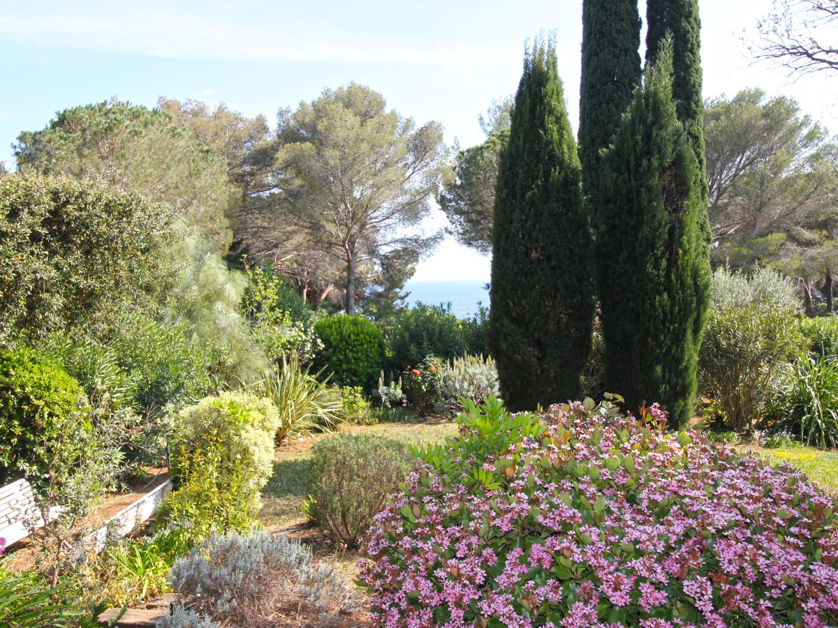 Garden Summer