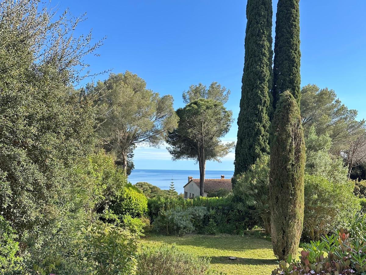 View Summer