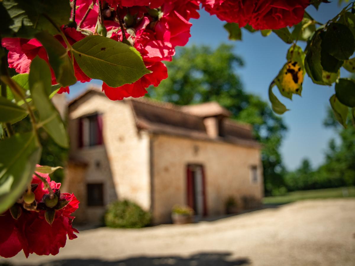 Exterior Summer