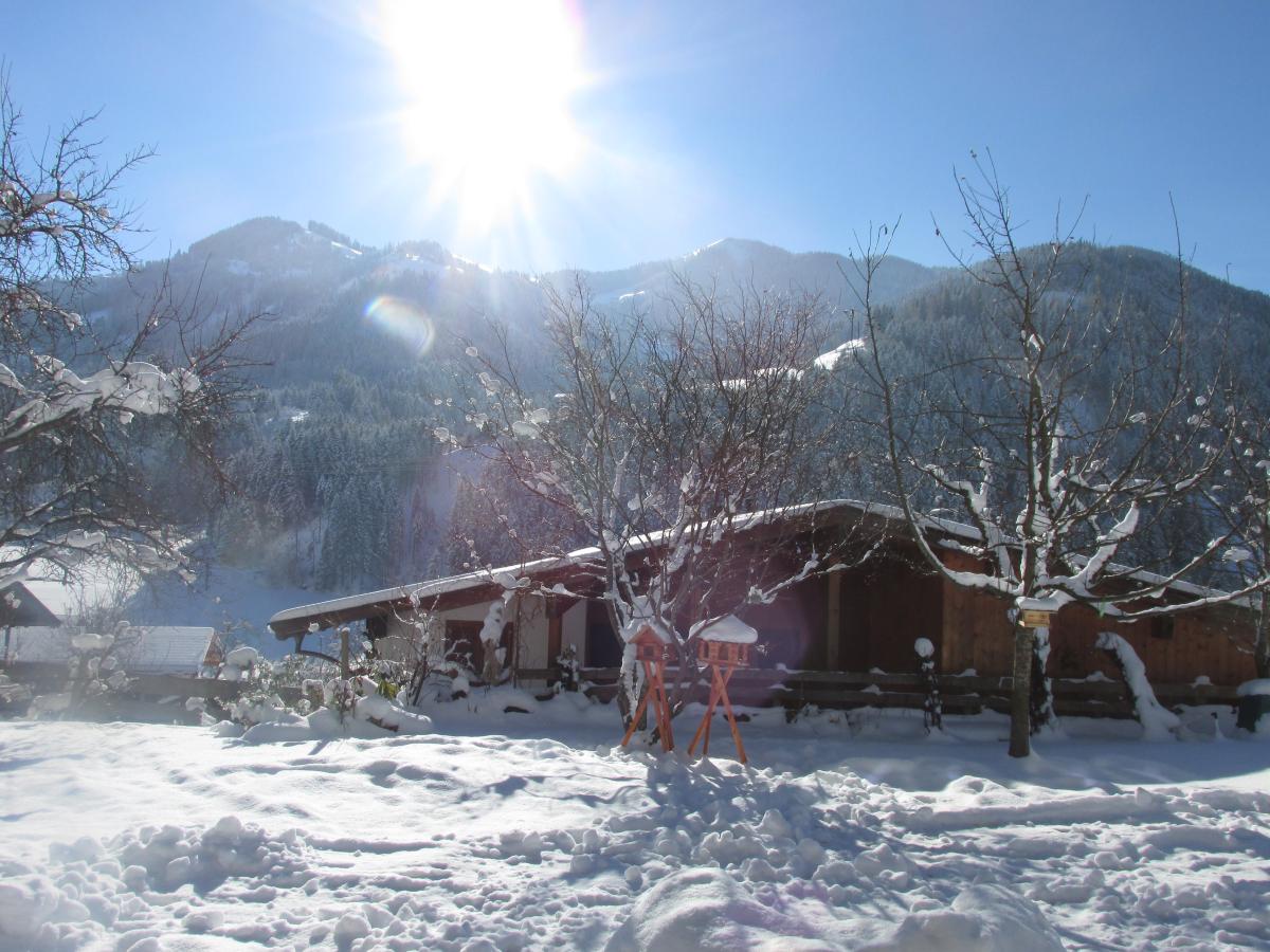View Winter