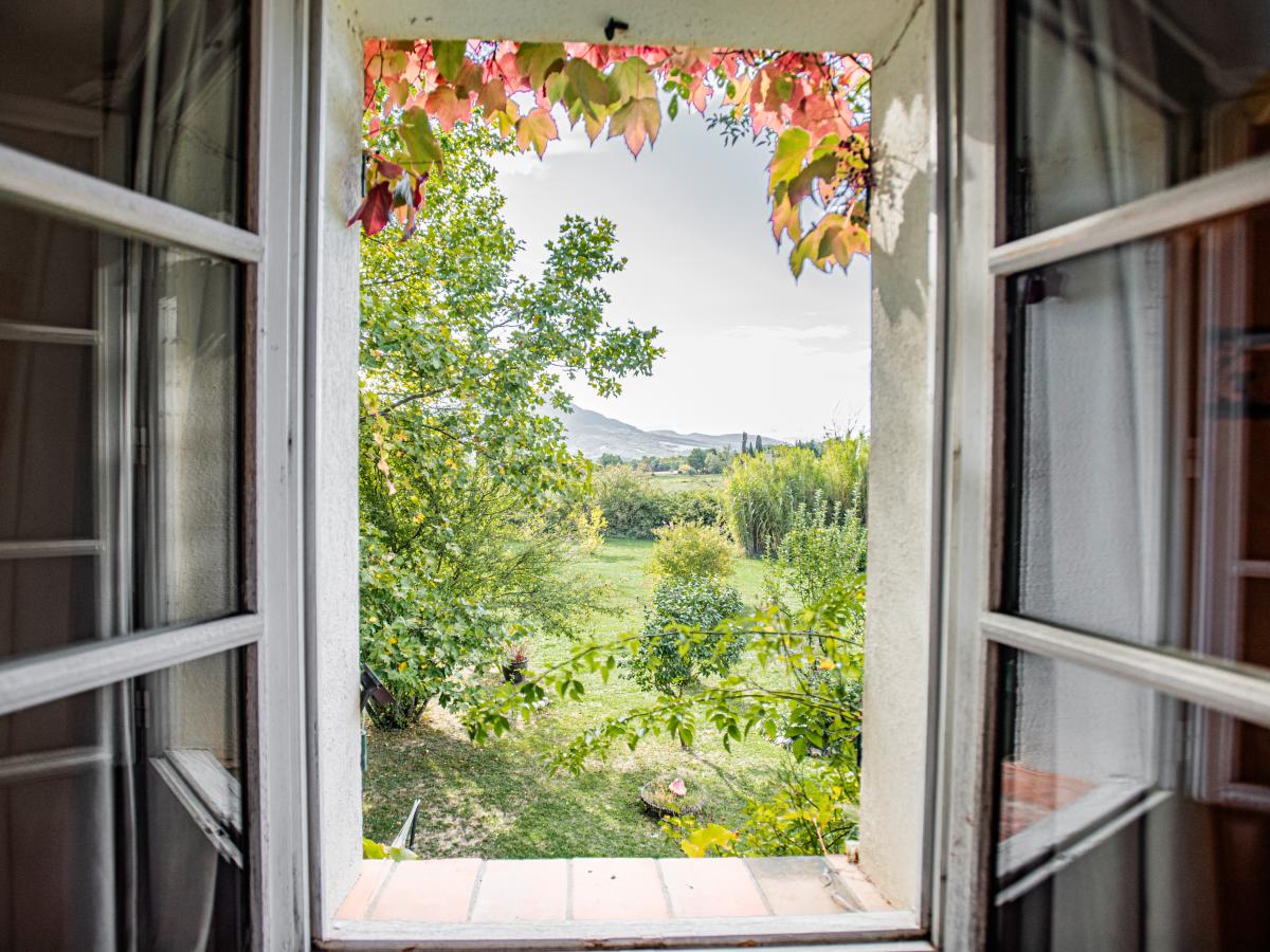 View Summer