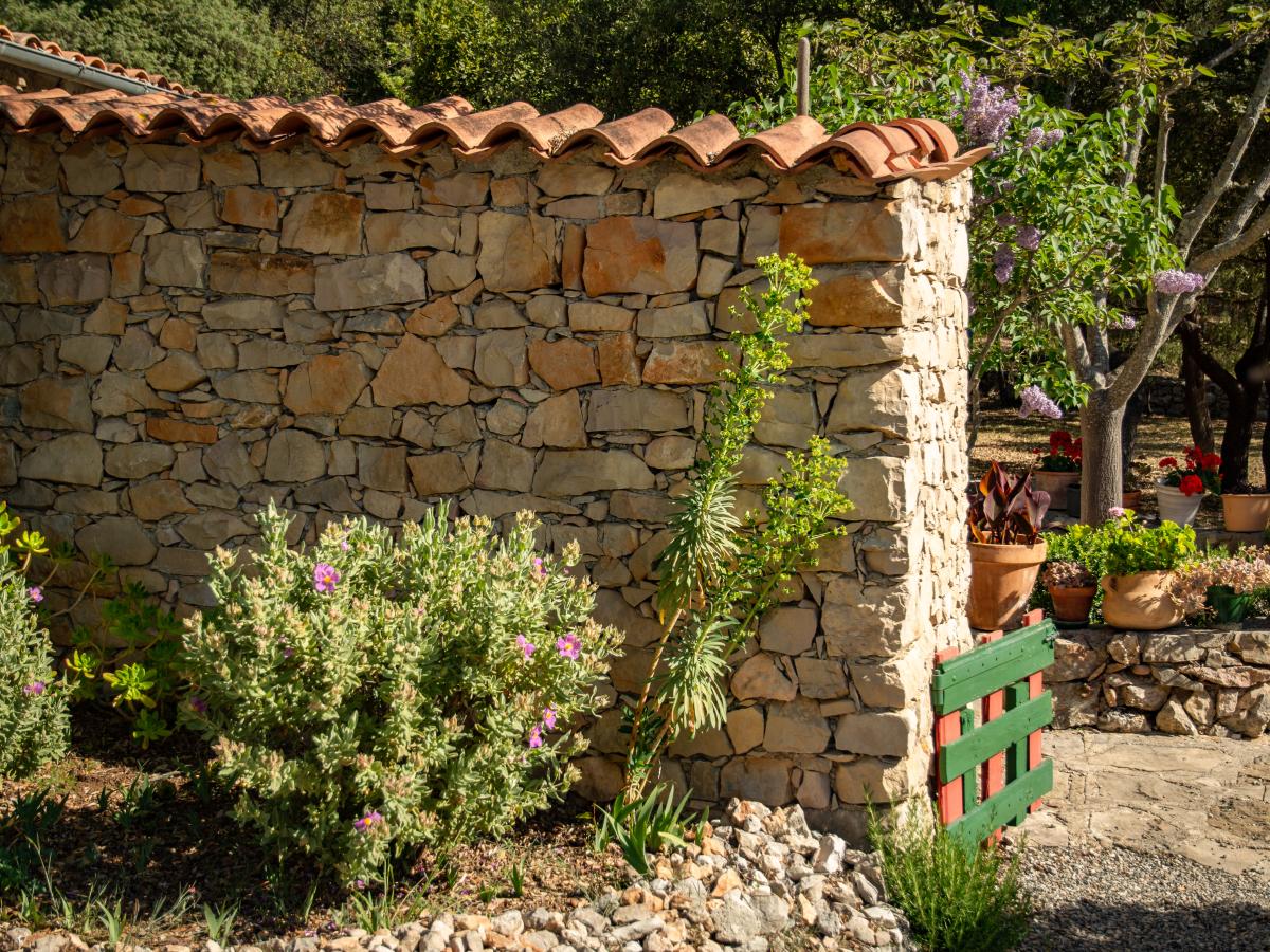 Garden Summer