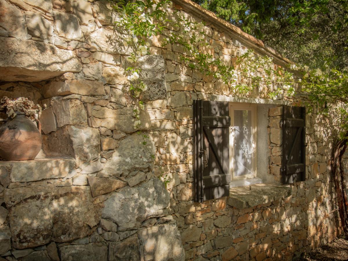Exterior Summer