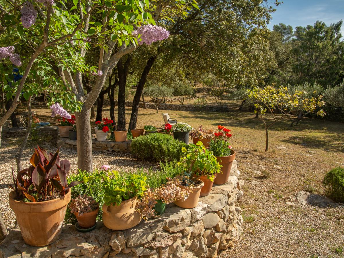 Garden Summer