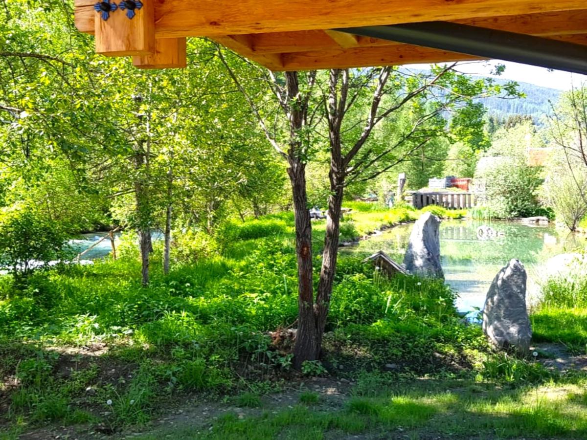 View Summer