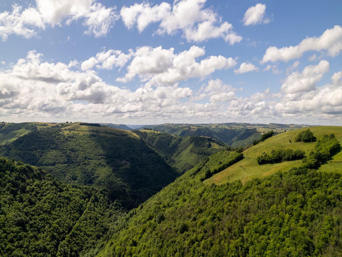 View Summer