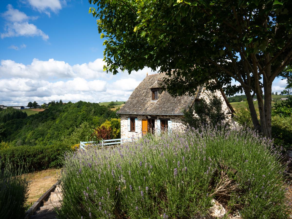 Exterior Summer