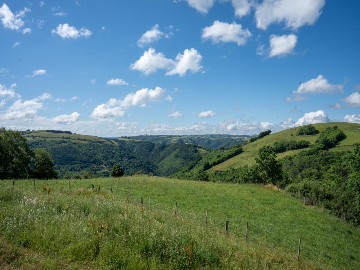 View Summer