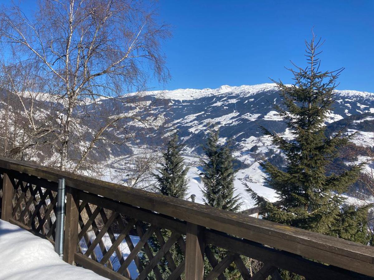 View Winter