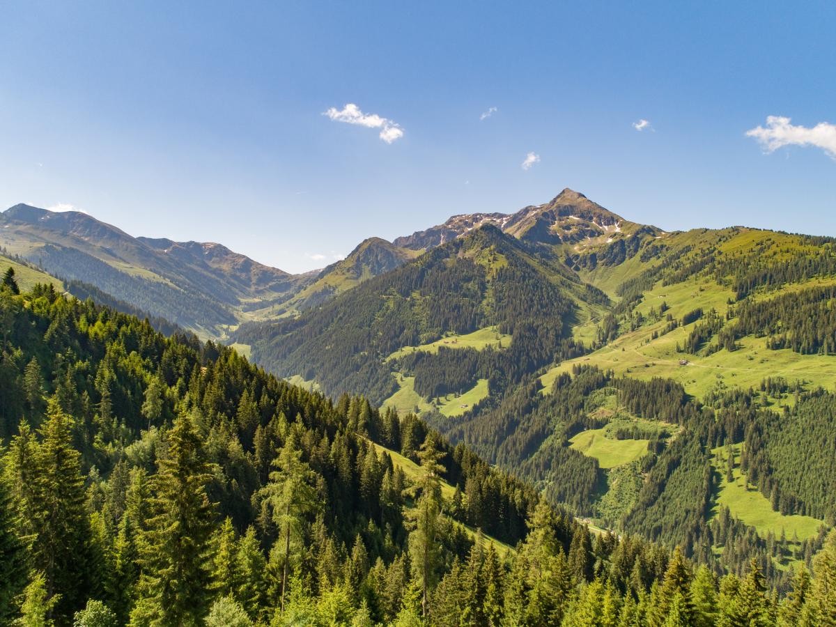 View Summer