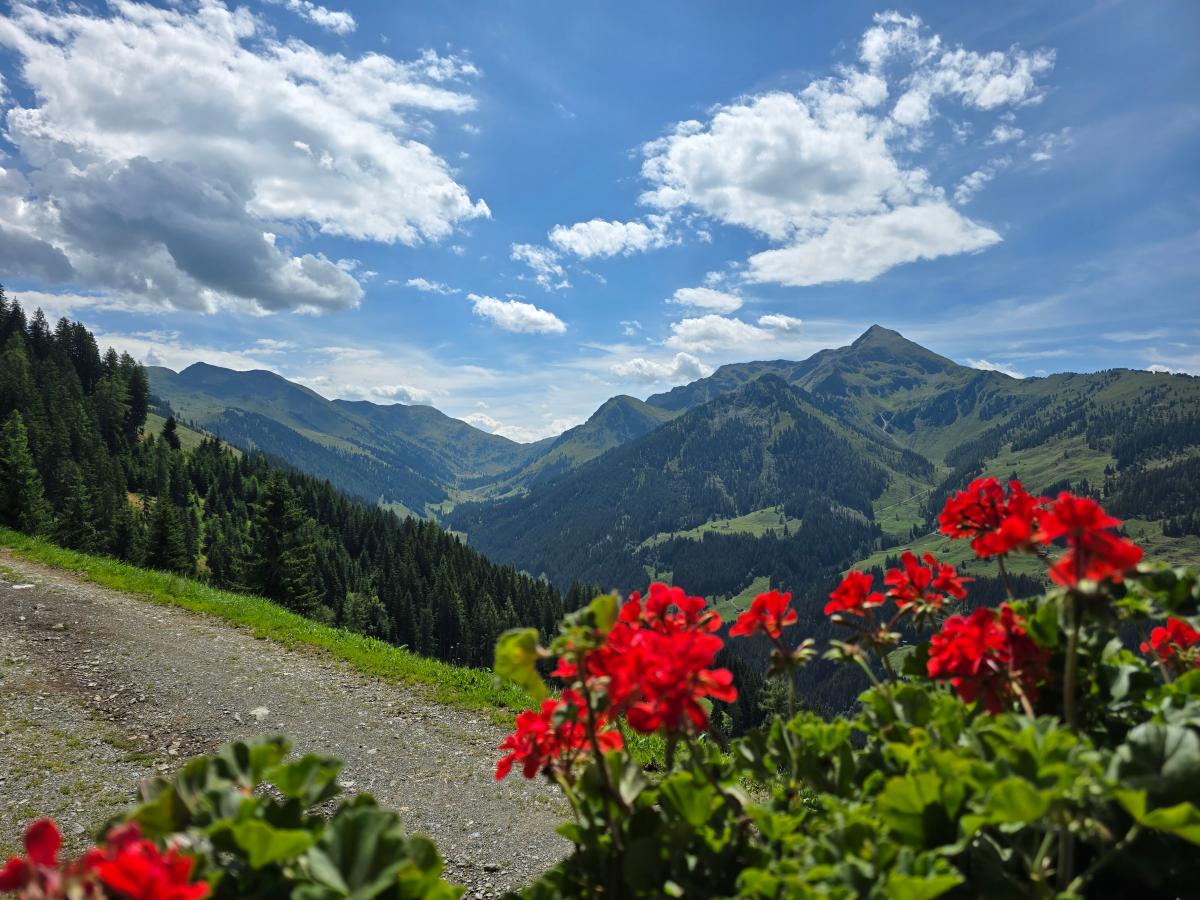 View Summer