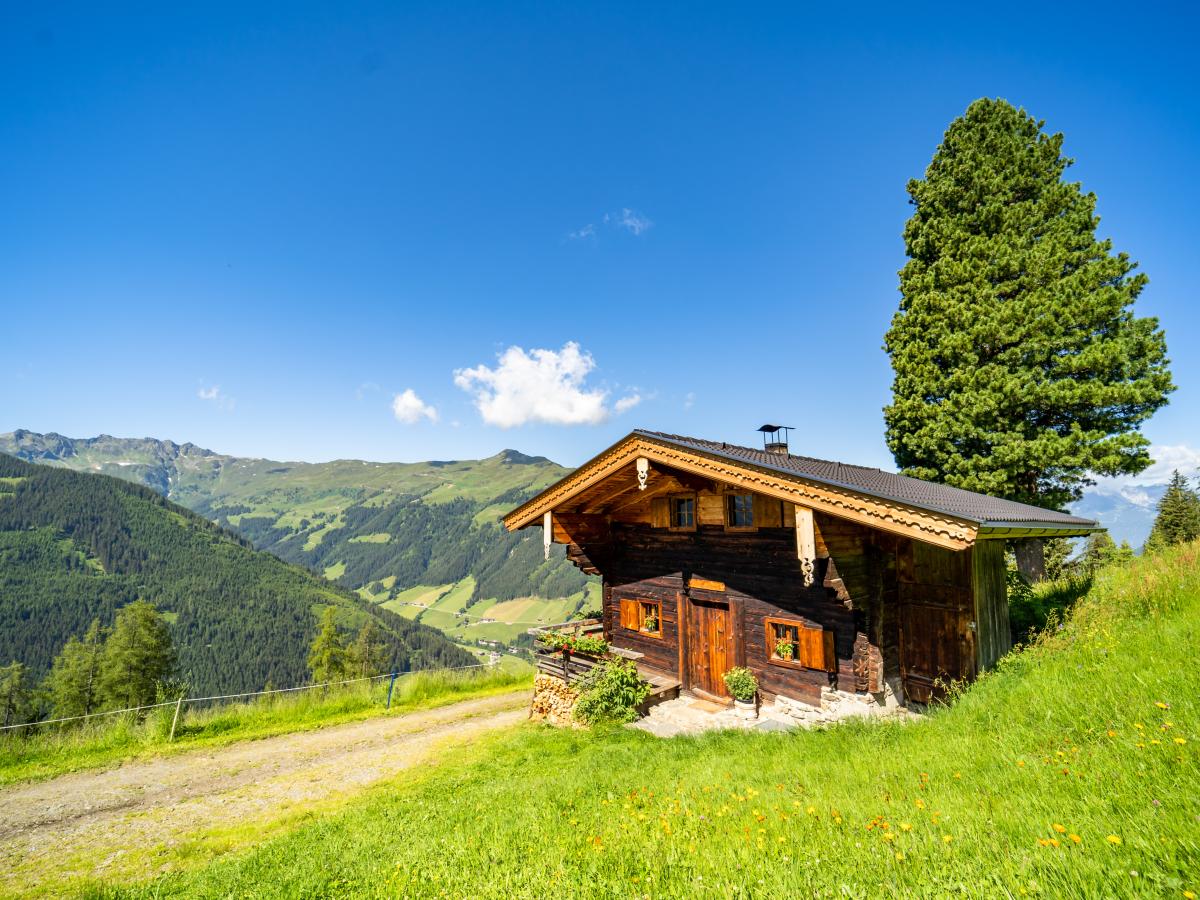 Exterior Summer