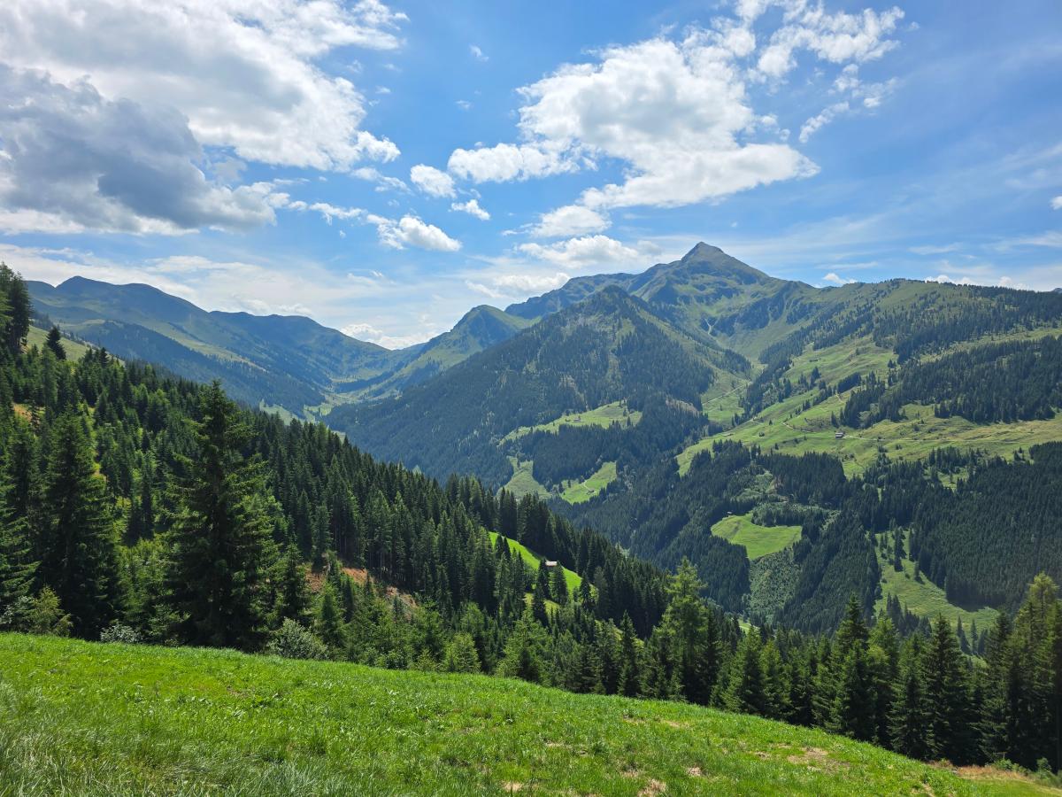 View Summer