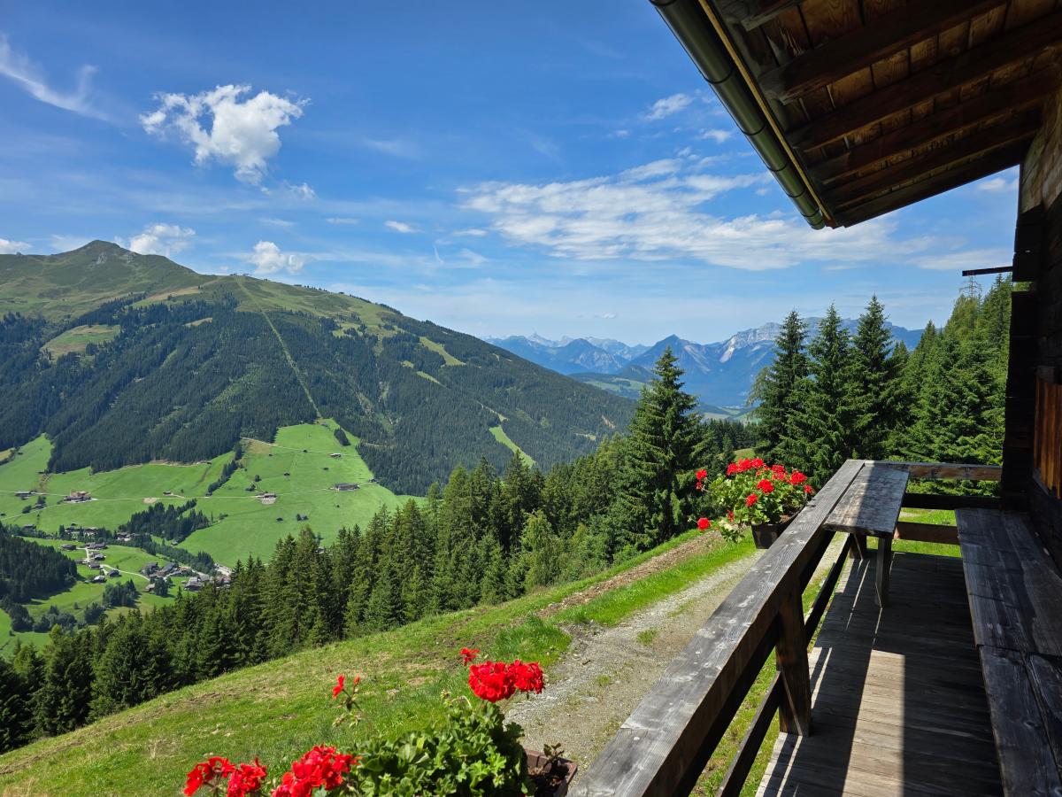 Terrace Balcony