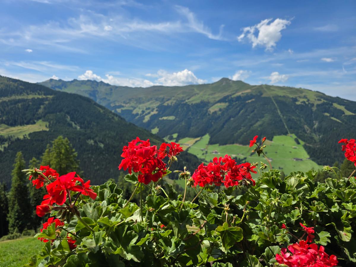 View Summer