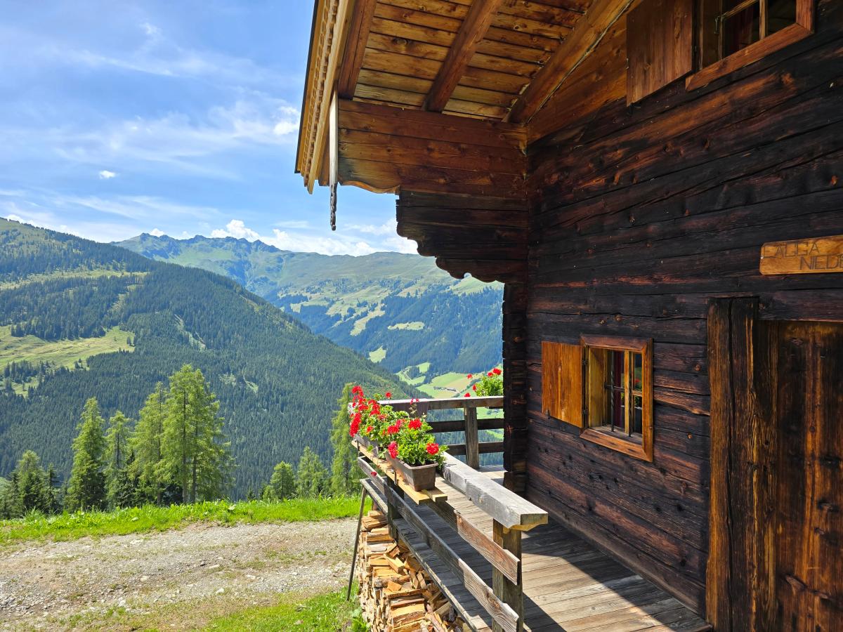 Terrace Balcony