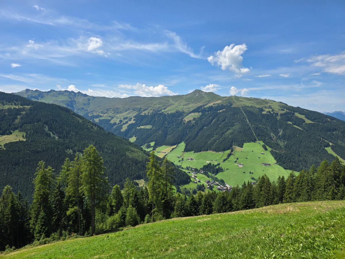 View Summer