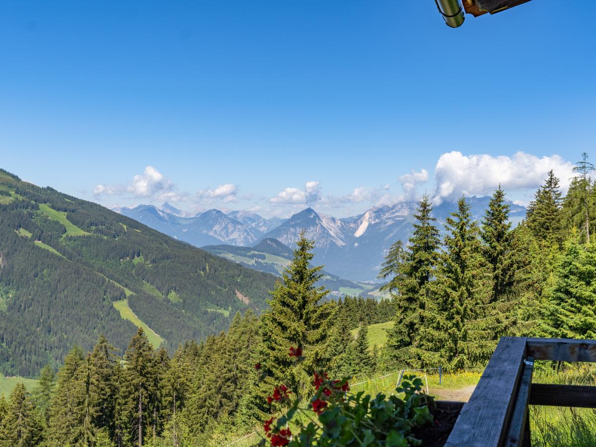 View Summer