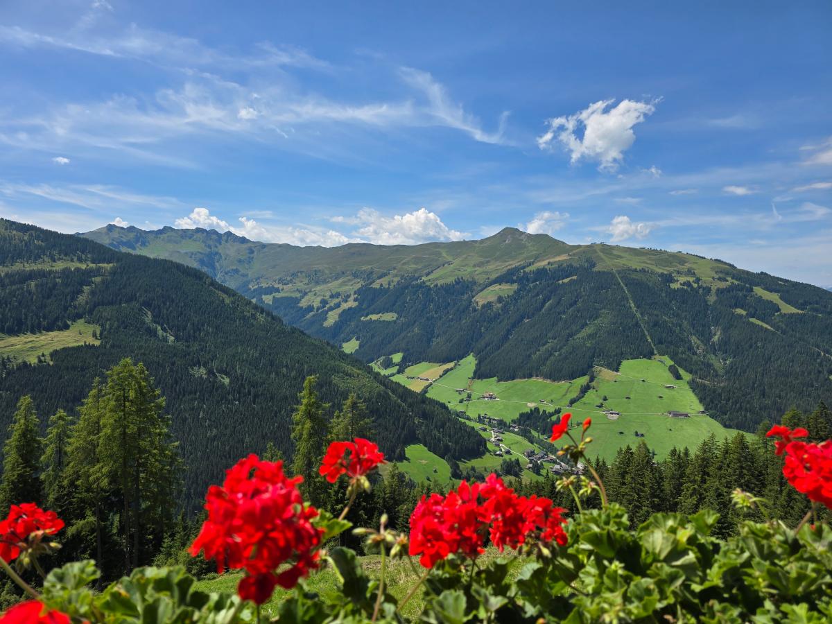 View Summer
