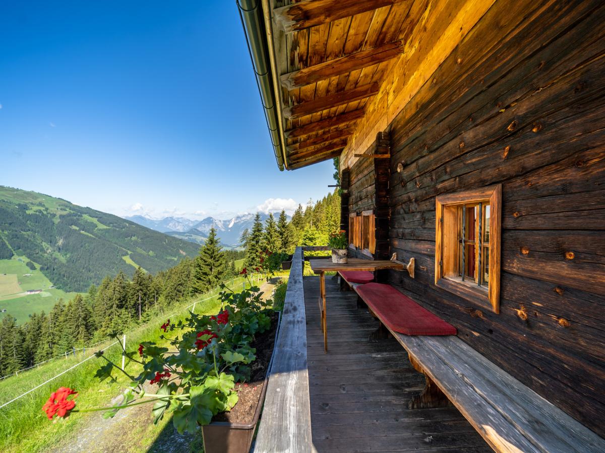 Terrace Balcony