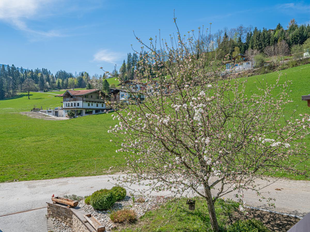 Villa photo 1