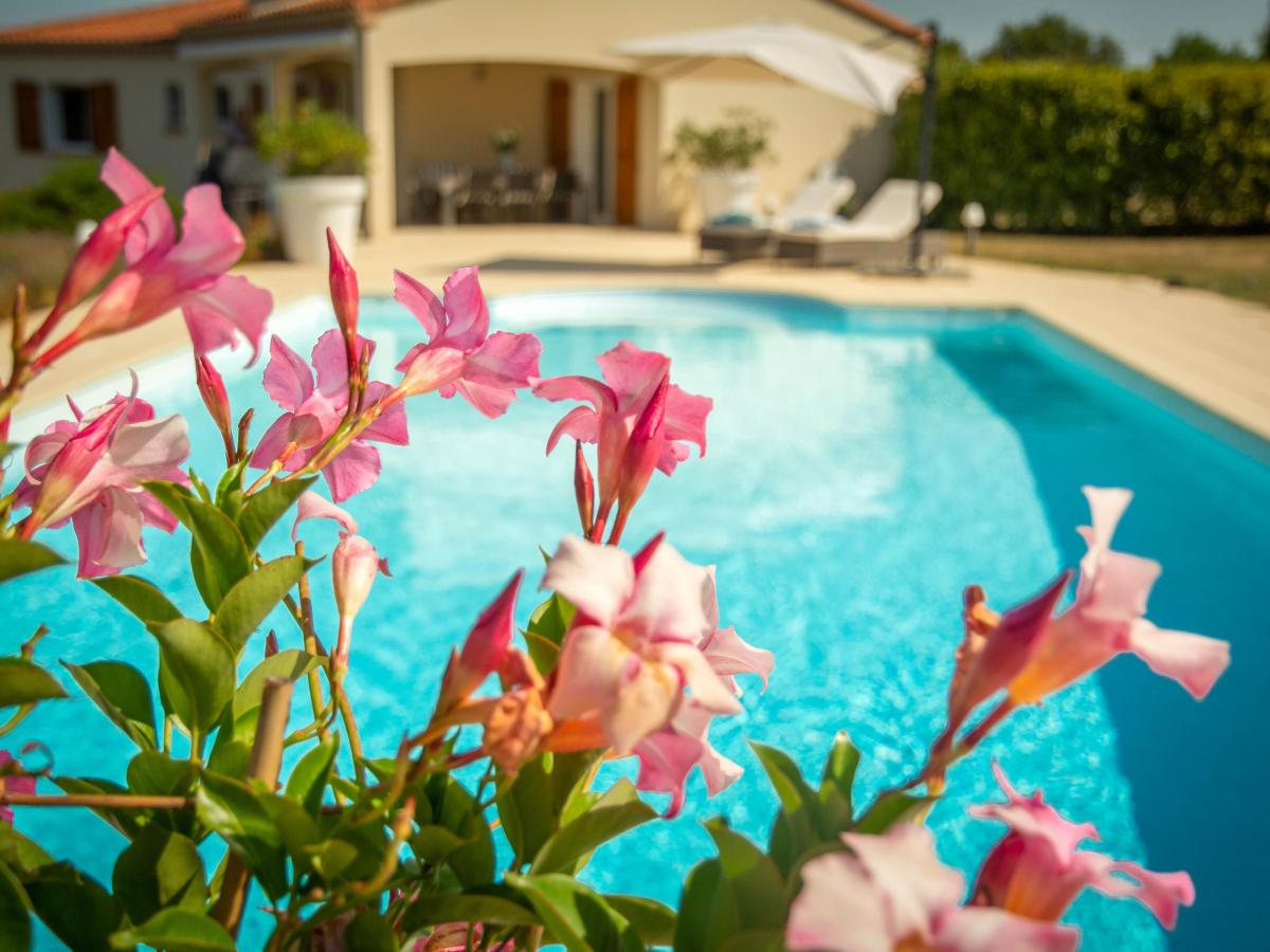 Pool Of House