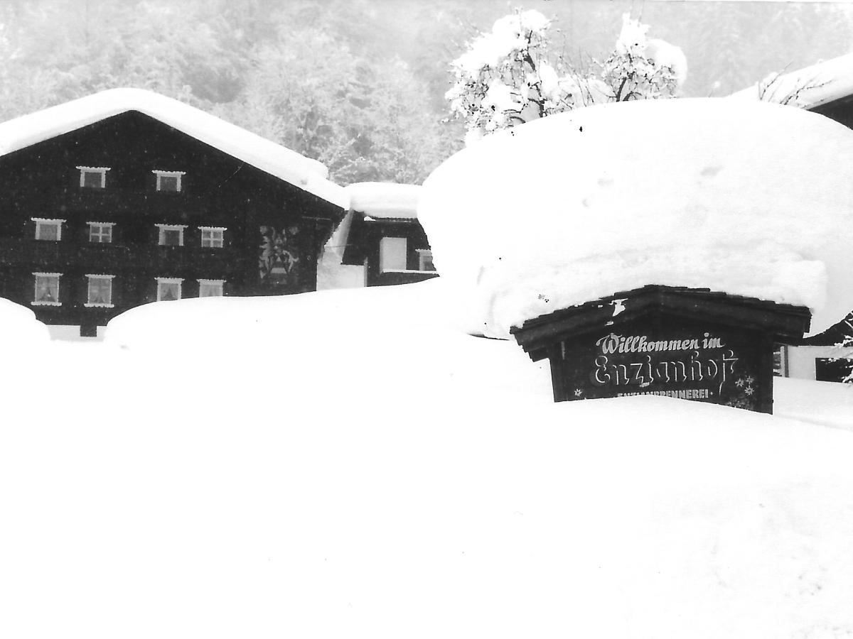 Villa photo 1