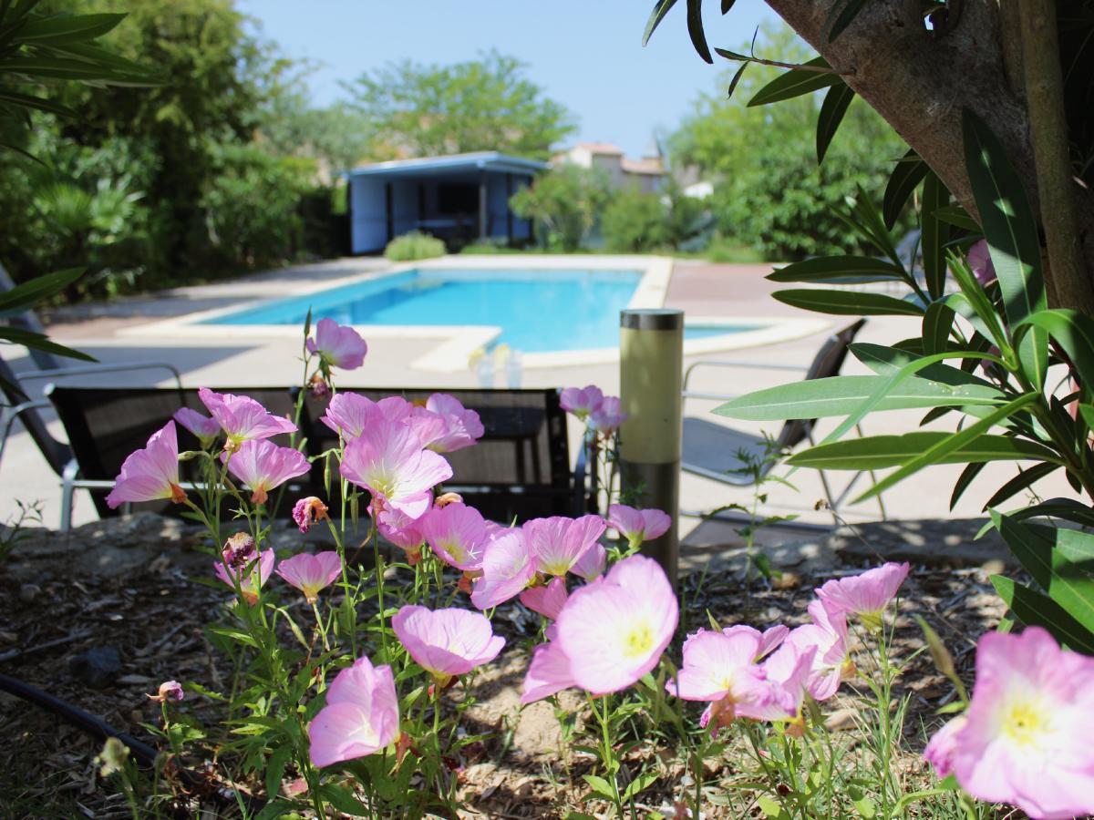 Pool Of House