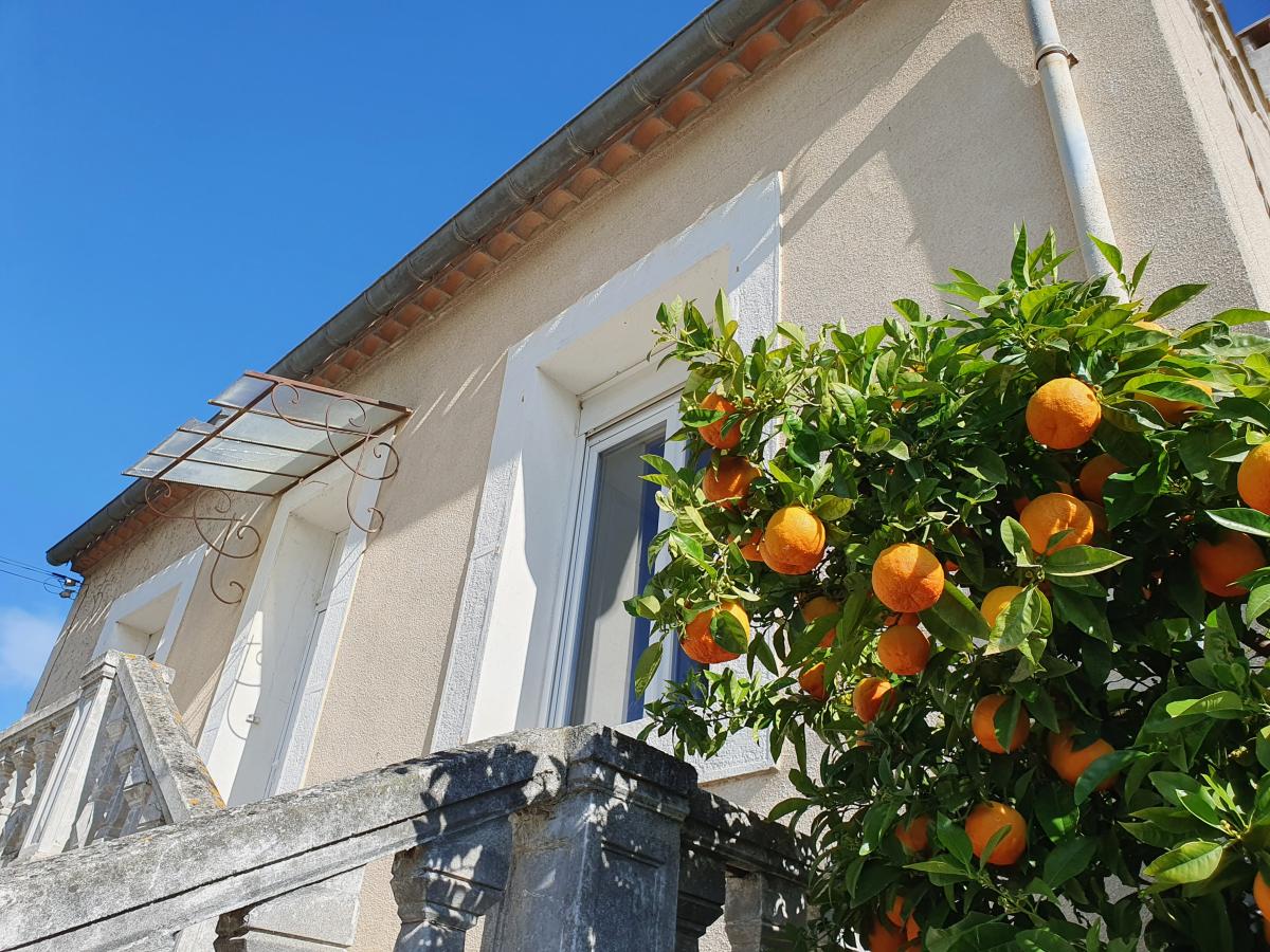 Exterior Summer