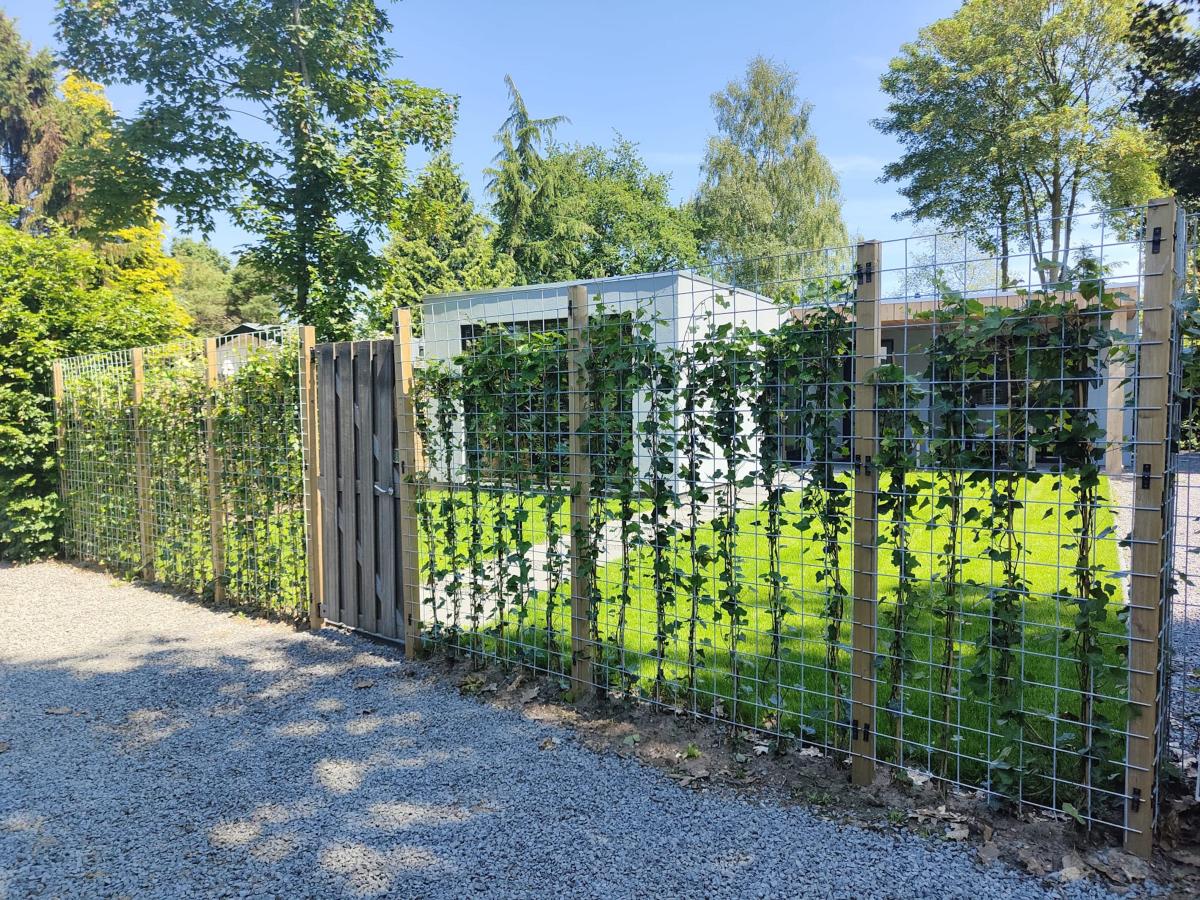 Garden Summer