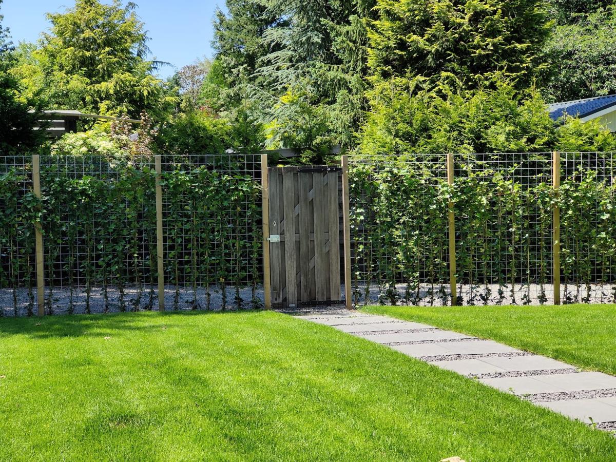 Garden Summer