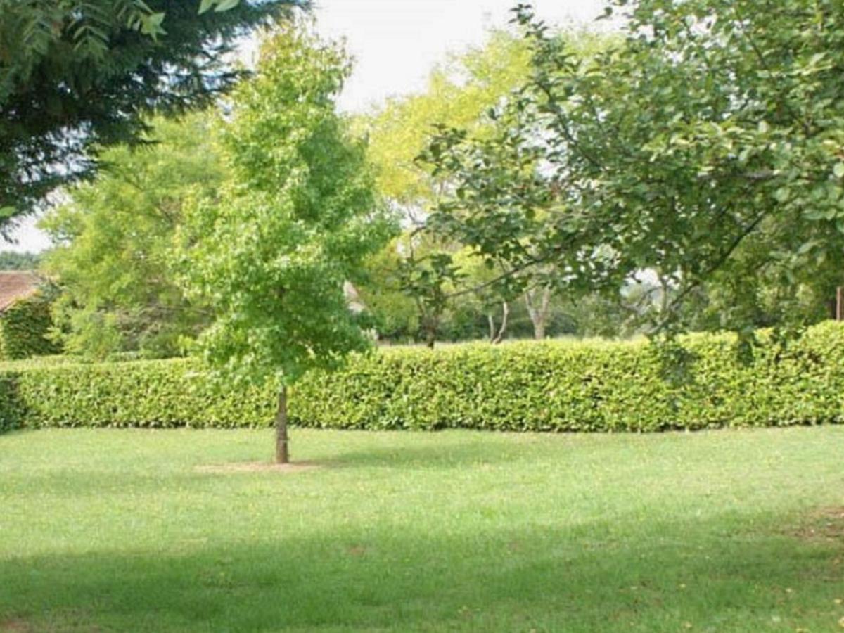 Garden Summer